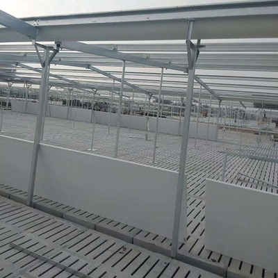 猪舍钢构
