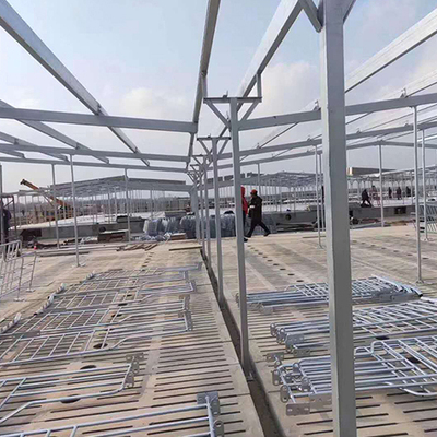 猪舍钢构