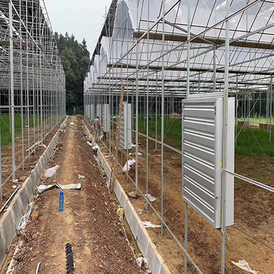 温室大棚管